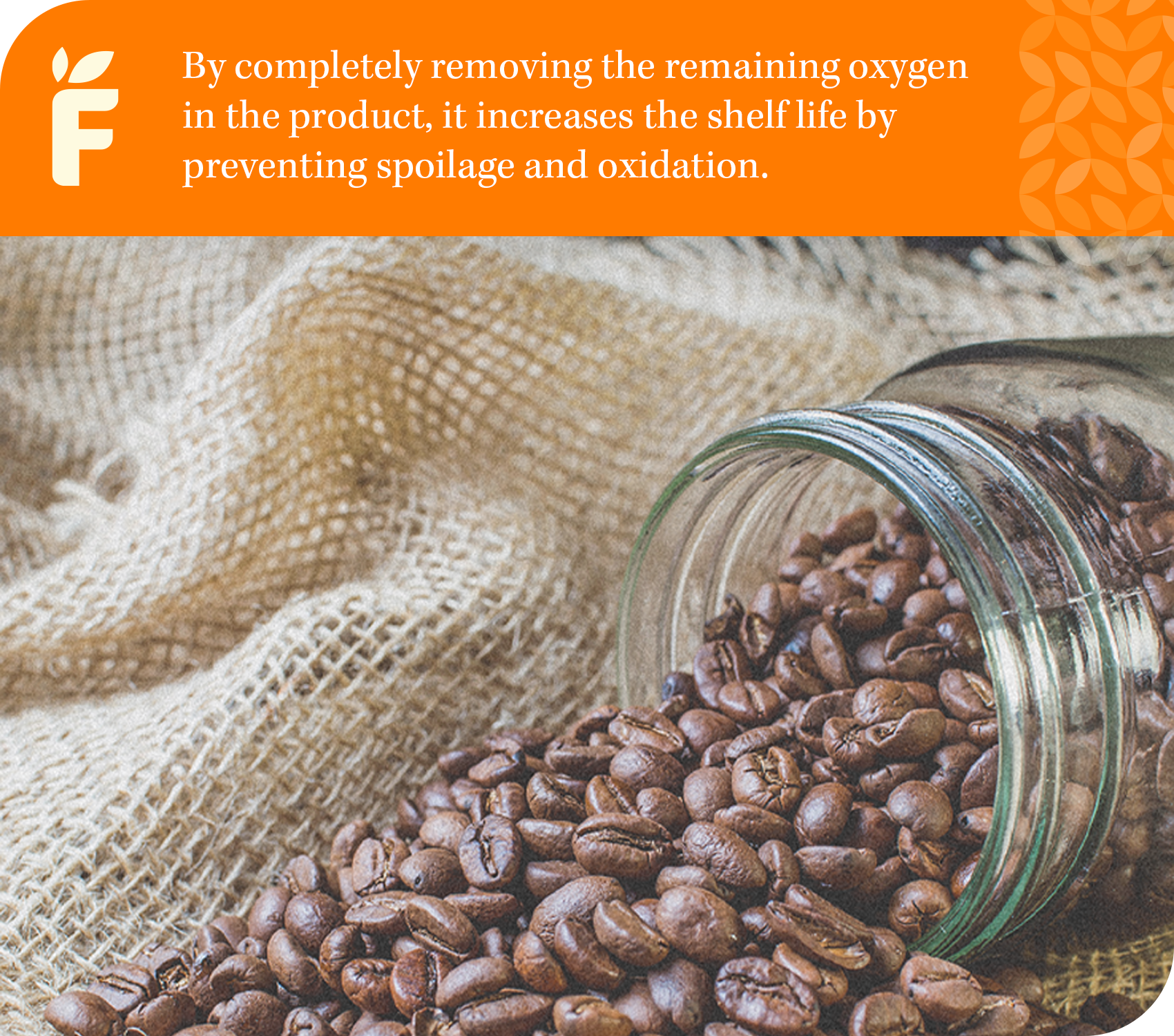 500cc Premium Oxygen Absorbers - 210 Packets (105 Packets / Bag)