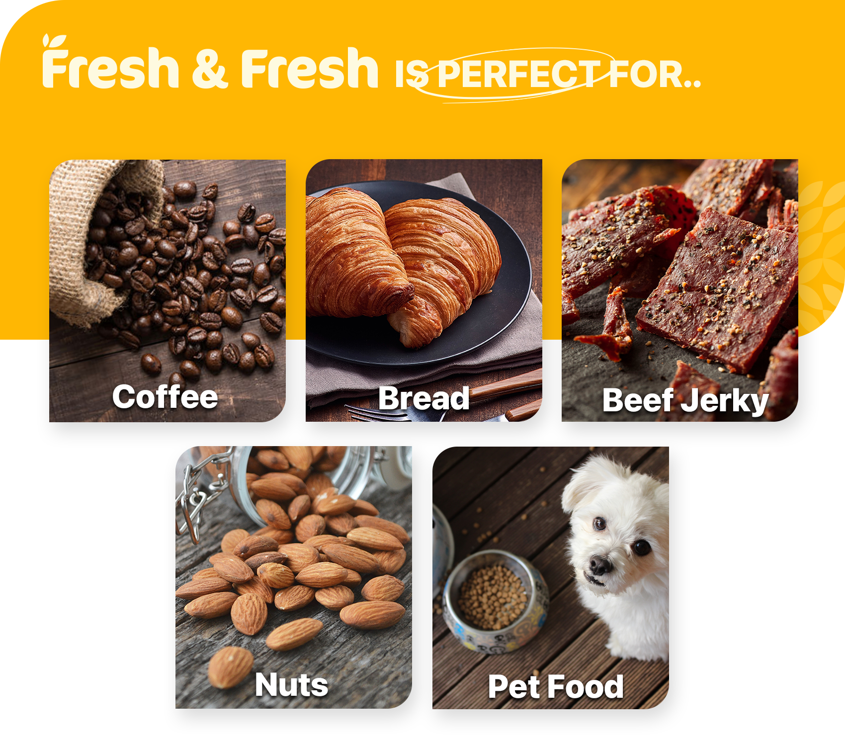 300cc Premium Oxygen Absorbers - 100 Packets (50 Packets / Bag)