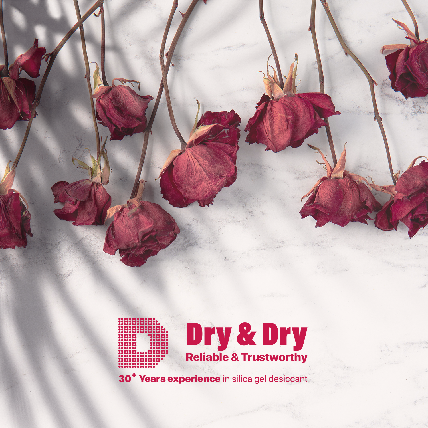 Dry & Dry Premium Silica Gel for Flower Drying Desiccant (Orange Indic